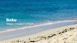 Боку авиақатновларида юк меъёри ошмоқда