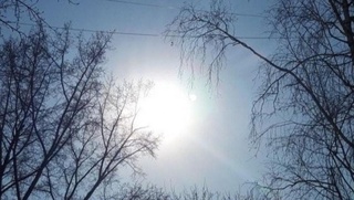 5-mart kungi ob-havo maʼlumoti eʼlon qilindi