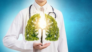 Здравоохранение  и экология: вехи реформ