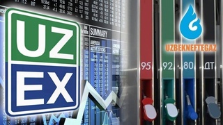 Минэнерго Узбекистана прокомментировало рост цен на бензин