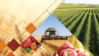 Развитие сельского хозяйства - гарантия улучшения благосостояния граждан