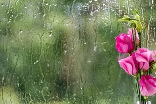 Бугун қандай об-ҳаво кутилмоқда?