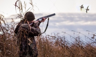 Ов қилиш ва овчилик хўжаликлари фаолияти янада такомиллаштирилади