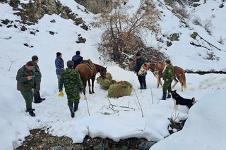 В Угам-Чаткальском парке и Чаткальском заповеднике создаются благоприятные условия для обитания животных
