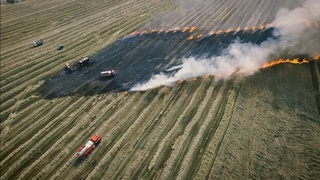 «Uzcosmos» запустил портал для мониторинга полевых пожаров