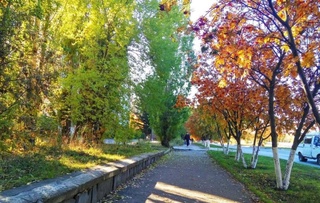 Прогноз погоды на 9 октября