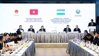 Узбекистан и Вьетнам планируют ввести безвизовый режим