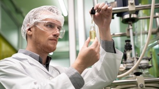 Rossiyalik olimlar suv o'tlari va chiqindilardan bioneft ishlab chiqishdi