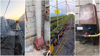 649 млн сўмлик табиий газдан ноқонуний фойдаланган иссиқхона аниқланди