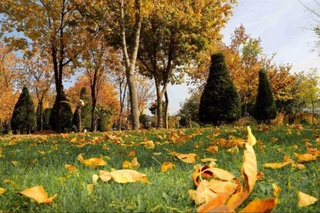 13-сентябрь күни ушын ҳаўа райы ҳаққында мағлыўмат