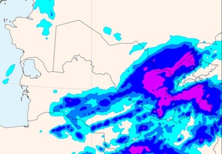 Emergency message: rains and strong winds are expected in Uzbekistan