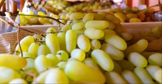 Ўзбекистон 40 та давлатга қарийб 35 минг тонна узум экспорт қилган