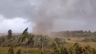 Тверь вилояти табиий офатдан зарар кўрди