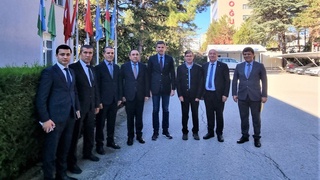 Узбекистан и Турция развивают сотрудничество в сфере лесного хозяйства