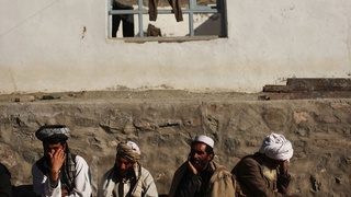 БМТни Афғонистондаги вазият хавотирга солмоқда