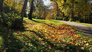 Прогноз погоды на 2 октября