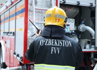 Toshkentda yogʻochdan qurilgan uy yonib ketdi