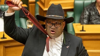 Традиции традициями, но галстук на шее парламентария в Новой Зеландии необязателен