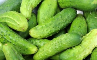 Во II квартале 2021 года Узбекистан увеличил экспорт огурцов в два раза