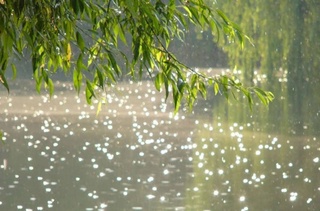 Прогноз погоды на день 8 апреля