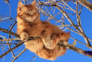 Прогноз погоды на 24 декабря