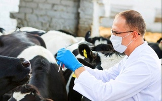 Ветеринариялық қызметі мамандарының біліктілігін арттыру мақсатында мемлекеттік қызметтер көрсетіледі