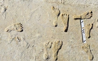 АҚШда 23 минг йил аввал одамлар яшаган?!