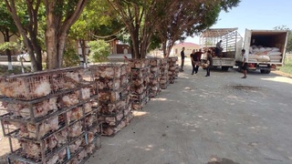 Аҳолининг эҳтиёжманд қатлами қўллаб-қувватланмоқда