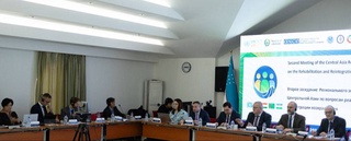 Региональный экспертный совет зарекомендовал себя как действенный механизм взаимодействия международных и региональных организаций в Центральной Азии