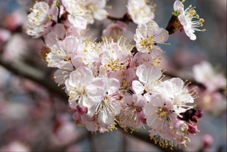 Прогноз погоды на 9 марта