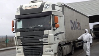 Ўзбекистонга келган икки нафар украиналикда коронавирус аниқланди