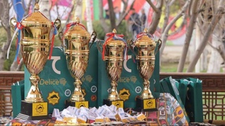 Конный спорт: оседлавшие новых лошадей