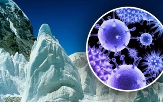 В тающих ледниках Тибета ученые обнаружили древние вирусы
