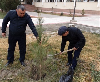Buxoro davlat universitetida ko'chat o'tqazish tadbirlari bo'lib o'tmoqda