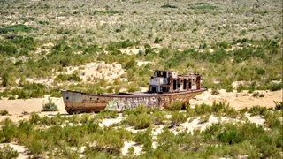 Для создания «зеленого покрова» на высохшем дне Аральского моря потребуется 25 млрд сумов