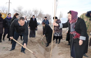 Қараөзекте жаңа бағлар жаратылмақта