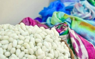 В Египте растет интерес к узбекскому шелку