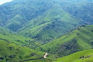 Bugun kunduz kuni Oʻzbekiston boʻyicha yogʻingarchilik kutilmaydi — Oʻzgidromet
