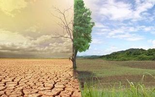 ЖССТ: Глобал иқлим ўзгариши йилига 250 минг кишининг ўлимига сабаб бўлади