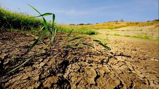 Ерлар деградацияси жараёнлари билан курашиш масалалари бўйича департамент ташкил этилди