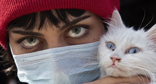 Қайси ҳайвонлар “тождор вирус”ни юқтириб олиши мумкин