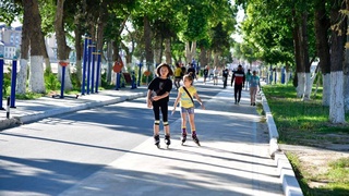 Массовый спорт и здоровый образ жизни