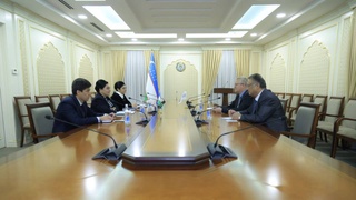 В Сенате Олий Мажлиса состоялась встреча с координатором проектов ОБСЕ в Узбекистане