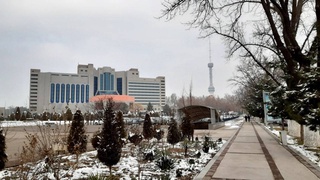 Прогноз погоды на 11 декабря