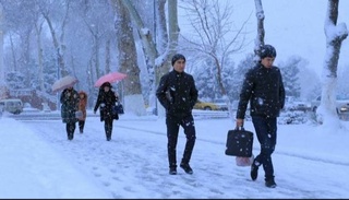 Зимние каникулы для студентов и учащихся начнутся 28 декабря