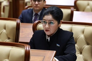 Сенат определил ключевые меры по достижению гендерного равенства в стране