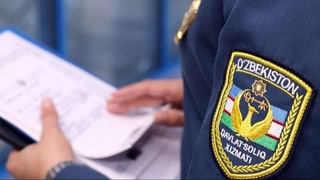 Решения, принятые по результатам выездных налоговых проверок и налогового аудита, могут быть обжалованы непосредственно в суде