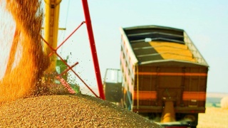 Казахстанское зерно импортируется через биржу