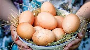 Истеъмолчини алдашнинг яна бир йўли ёхуд "уй тухум"лари аслида мавжудми?