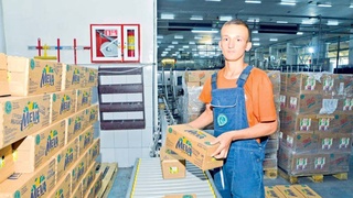 Ряды предпринимателей расширяются